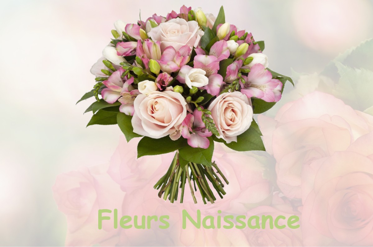 fleurs naissance DARBONNAY