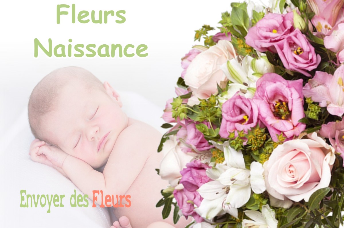 lIVRAISON FLEURS NAISSANCE à DARBONNAY